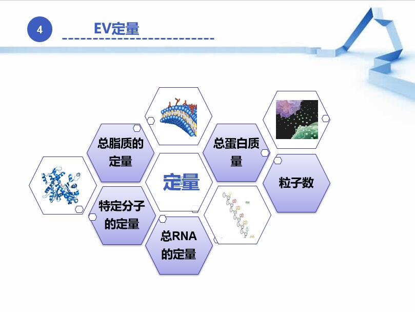 MISEV 2018 指南解读