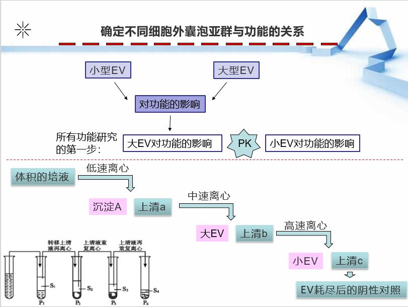 MISEV 2018 指南解读