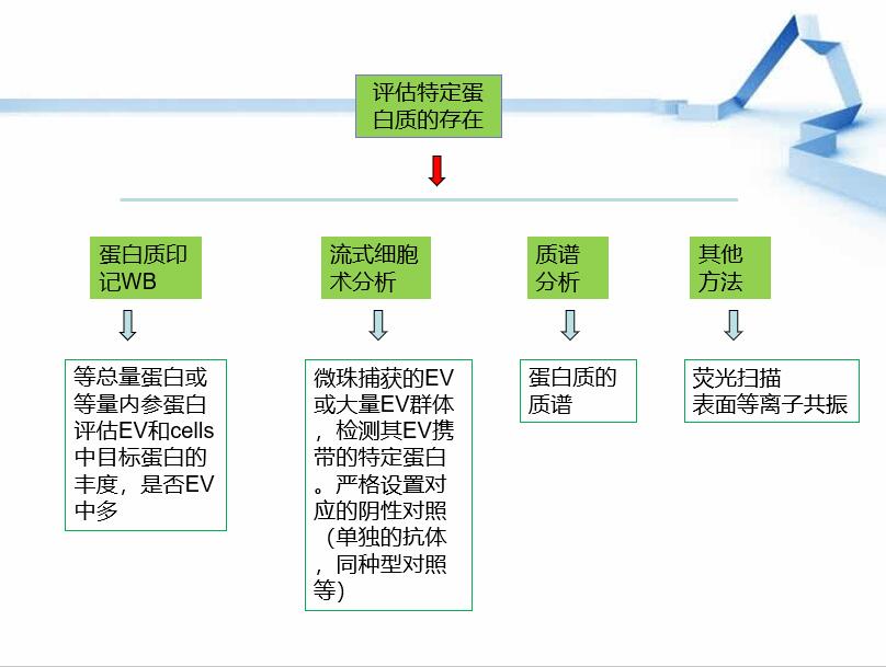 MISEV 2018 指南解读