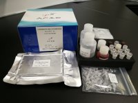 HBV特异性T细胞定量检测试剂盒（ELISPOT法）
