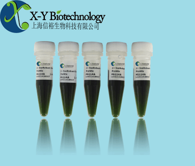 对虾血细胞虹彩病毒（SHIV）核酸检测试剂盒（PCR-荧光探针法）