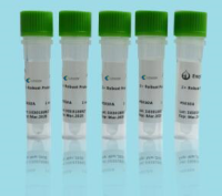 哈维氏弧菌核酸检测试剂盒(PCR-荧光探针法)