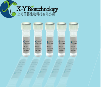 对虾白斑综合症病毒（WSSV）核酸检测试剂盒（PCR-荧光探针法）