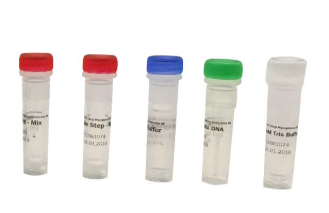 罗氏沼虾诺达病毒（MrNV）RNA核酸检测试剂盒（PCR-荧光探针法）