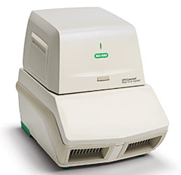 image3.png