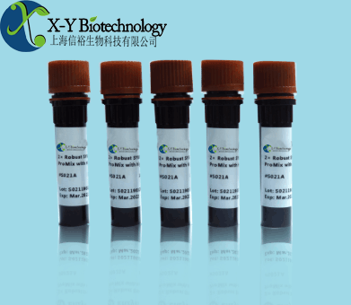 霍乱弧菌核酸检测试剂盒（PCR-荧光探针法）