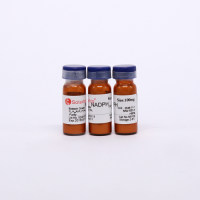 NADPH 还原型辅酶Ⅱ四钠-科研用