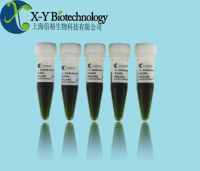 嗜肺军团菌核酸检测试剂盒（恒温荧光法）