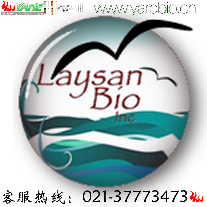 Laysan Bio PEG修饰剂 官能团聚乙二醇