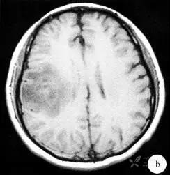 3370018319741920680-8w.jpg