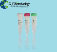 对虾桃拉综合症病毒（TSV）RNA核酸检测试剂盒（恒温荧光法）