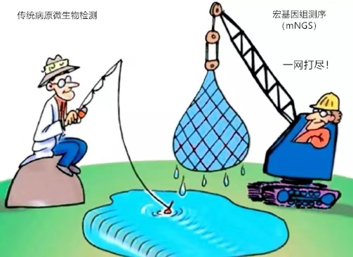 NGS在病原微生物检测中的应用