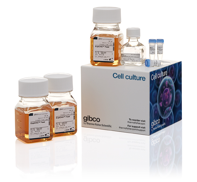 ExpiFectamine™ CHO Transfection Kit, for 1 L of culture