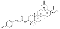 3-O-(E)-p-Coumaroylbetulin144424-80-6说明书