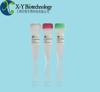 鸡源性核酸检测试剂盒（PCR-荧光探针法）