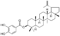 3,4-Dihydroxybenzoyllupeol2231323-99-0特价