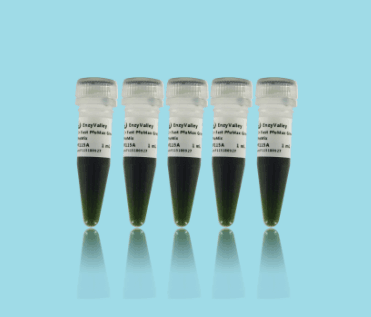 大豆内源基因核酸检测试剂盒（恒温荧光法）