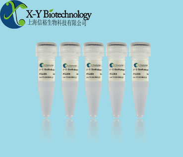 转基因大豆品系GTS40-3-2核酸检测试剂盒（PCR-荧光探针法）