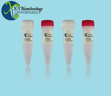 转基因大豆品系A5547-127核酸检测试剂盒（PCR-荧光探针法）