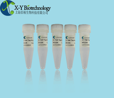 pNOS基因核酸检测试剂盒（PCR-荧光探针法）