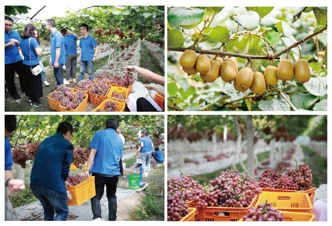 金秋九月，邂逅烟雨柳江 ------威斯腾生物秋日鲜美之旅