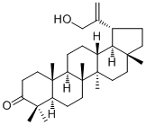 30-Hydroxylup-20(29)-en-3-one72944-06-0说明书