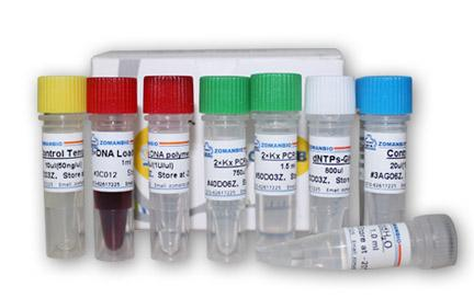 荞麦源性成分核酸检测试剂盒（PCR-荧光探针法）