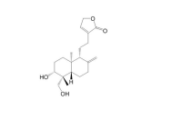 去氧穿心莲内酯-新闻推荐