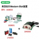 價格1.4w伯樂Bio-Rad小型垂直電泳轉印系統套裝(電泳槽+轉印芯+基礎電源)1658033總代理