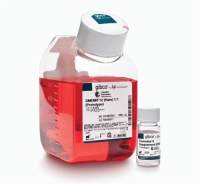 特级胎牛血清 (FBS) Superb