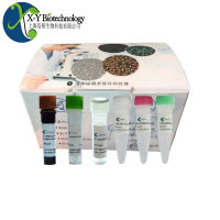 Rapid amplification Kit for T cells  T细胞高效扩增试剂盒 2L/套