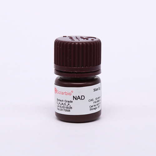 氧化型辅酶Ⅰ，NAD