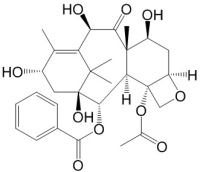 10-脱乙酰基巴卡亭III-新闻发布