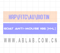 HRP标记山羊抗小鼠IgG(H+L)
