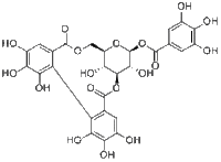 Corilagin23094-69-1供应