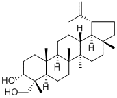 Lup-20(29)-ene-3α,23-diol32451-85-7特价