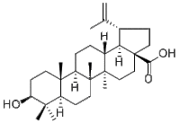 Betulinic acid472-15-1厂家