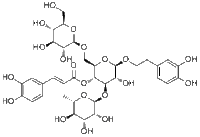 Echinacoside82854-37-3说明书