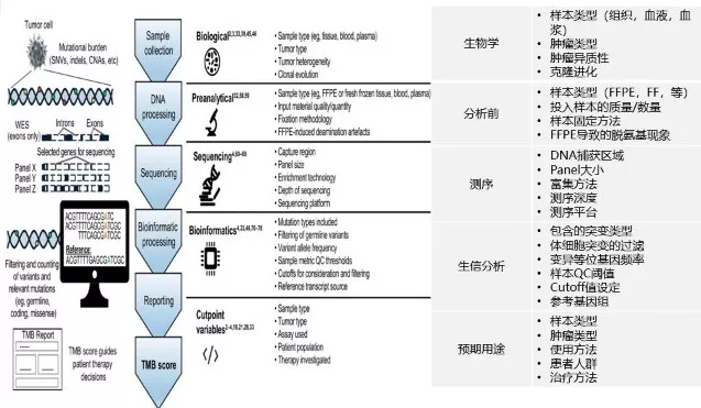 CSCO连线，TMB产品性能评价进展！