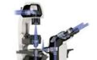 现货价格1.8w德国徕卡 倒置显微镜 DMi8 荧光显微镜品牌:Leica徕卡DMi1 现货代理
