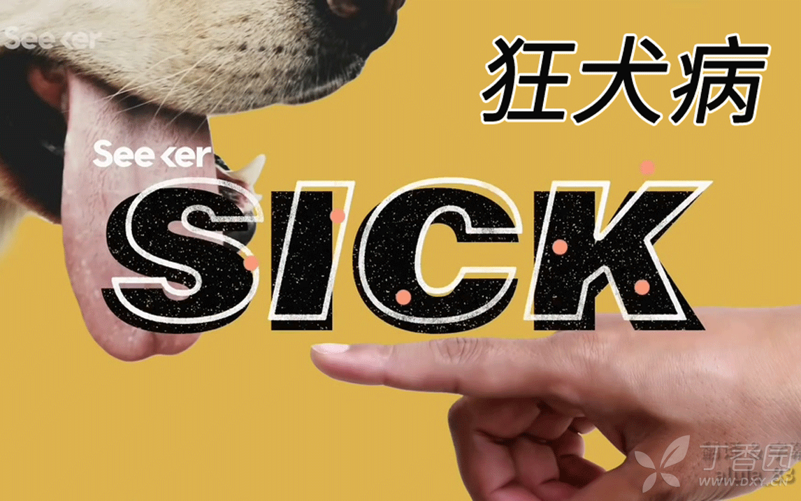 3370959634839378183-8w.png