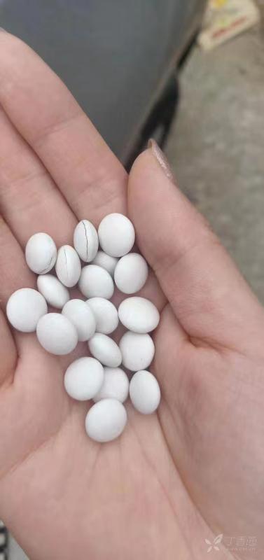 糖衣片裂片问题,请教各位大神解决办法