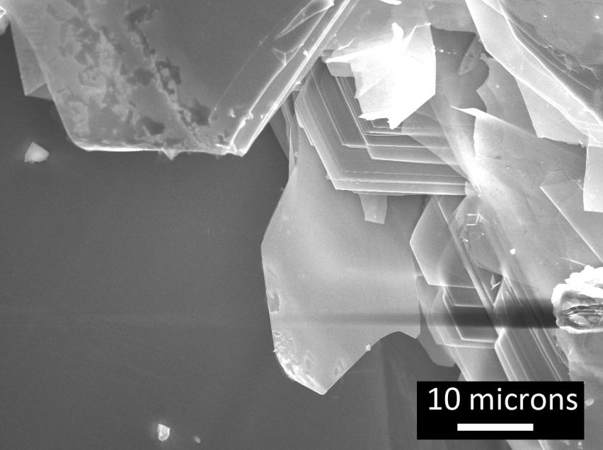 Graphene Supermarket大面积二硫化钼晶体