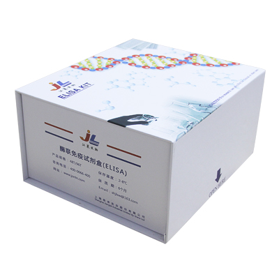 江莱生物 大鼠ELISA试剂盒（酶联免疫分析）