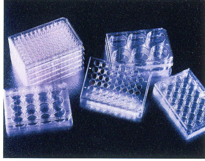 氨基钠7782-92-5价格,详情介绍-960化工网 – 960化工网