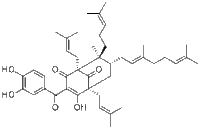 Guttiferone G多少钱