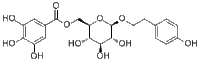 6'-O-Galloylsalidroside进口试剂