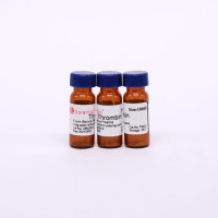 凝血酶  凝血活素，凝血因子，原激酶 cas：9002-04-4