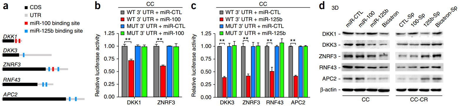 都是做耐药性研究，换个思路，Nature Medicine如此简单