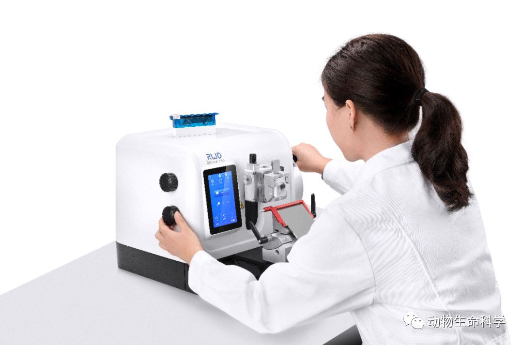 微信图片_20191008184039.jpg 微信图片_20191008184039.jpg